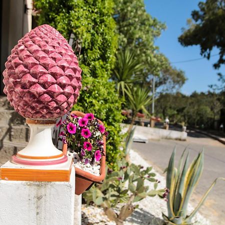 Agriturist Soleluna Caltagirone Eksteriør billede